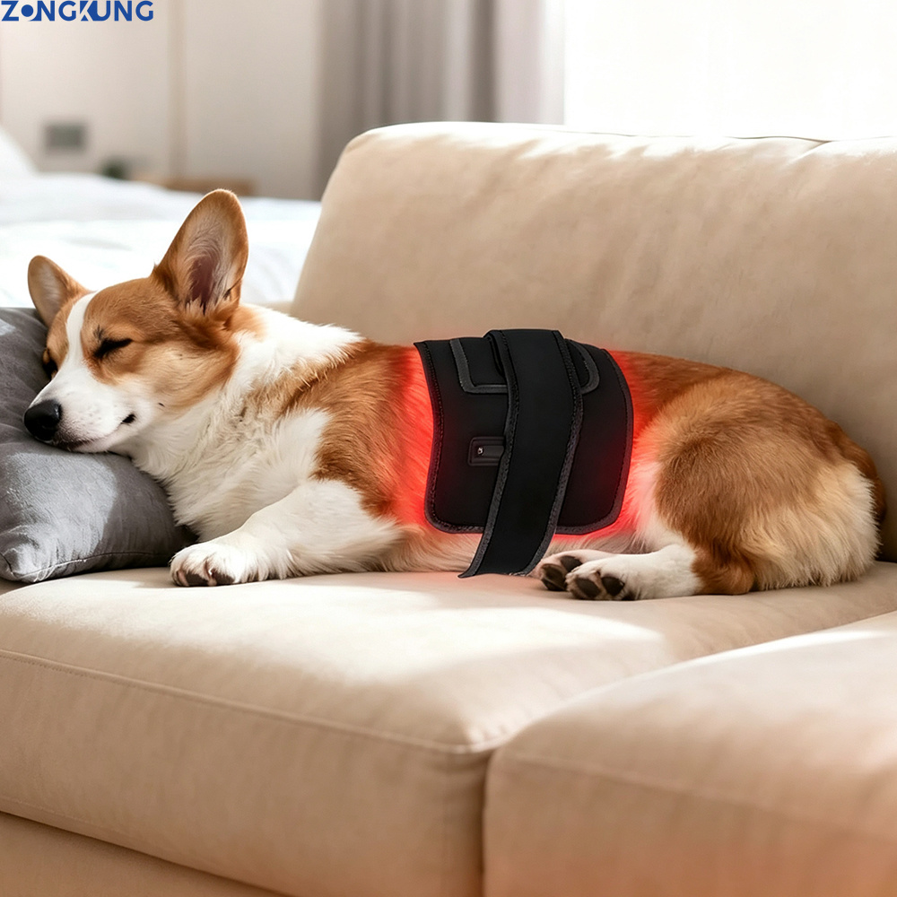 Red Light Therapy for Pets Vet - Galvanic Skin Sensor recension och pris
